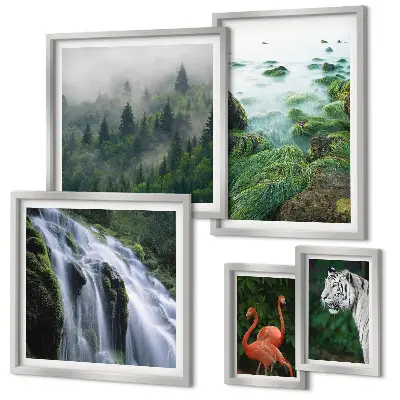 Gallery wall set featuring nature, wildlife, and landscape photography