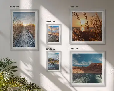 Framed photo set landscapes featuring water, vegetation, and trails