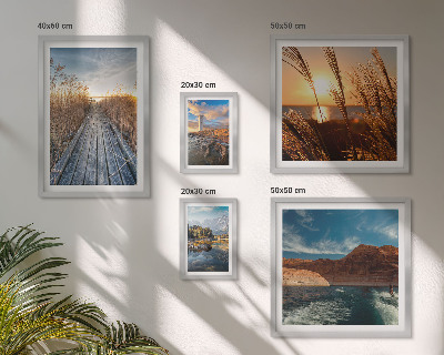 Framed photo set Landscapes water vegetation trail