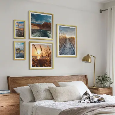 Framed photo set landscapes featuring water, vegetation, and trails