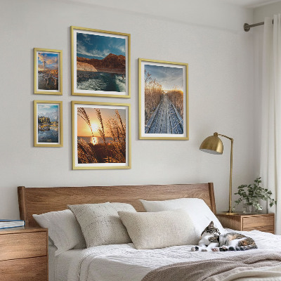 Framed photo set Landscapes water vegetation trail