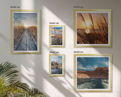 Framed photo set Landscapes water vegetation trail
