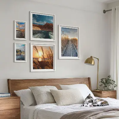 Framed photo set landscapes featuring water, vegetation, and trails