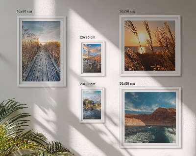 Framed photo set Landscapes water vegetation trail