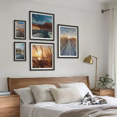 Framed photo set landscapes featuring water, vegetation, and trails