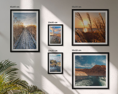 Framed photo set Landscapes water vegetation trail