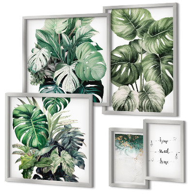 Framed photo set Modern plant inspirations