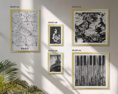 Gallery wall set elegant Parisian architecture design