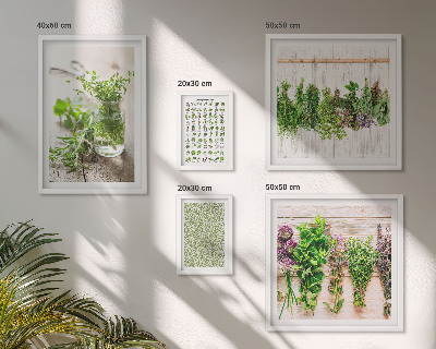 Gallery wall Herbal decoration inspirations