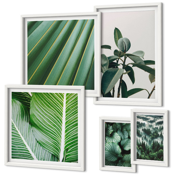 Framed photo set Tropical plant inspirations