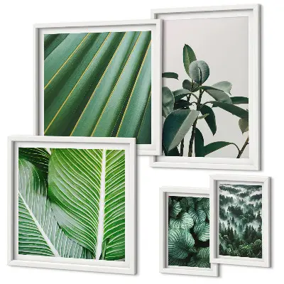 Tropical plant framed photo set with botanical inspirations