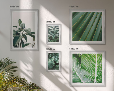 Framed photo set Tropical plant inspirations