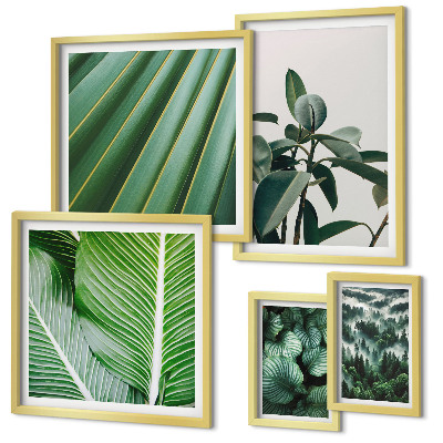 Framed photo set Tropical plant inspirations
