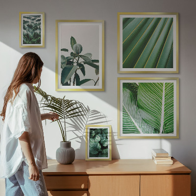 Framed photo set Tropical plant inspirations
