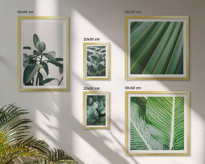 Framed photo set Tropical plant inspirations