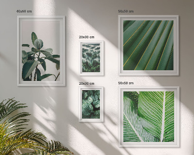 Framed photo set Tropical plant inspirations