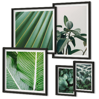 Framed photo set Tropical plant inspirations