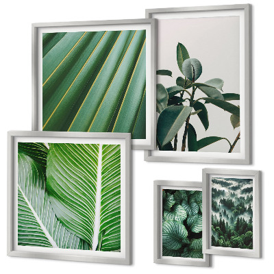 Framed photo set Tropical plant inspirations
