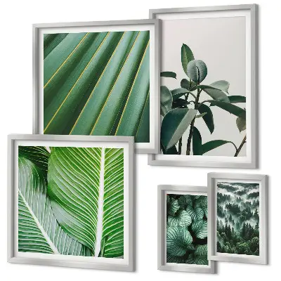 Tropical plant framed photo set with botanical inspirations