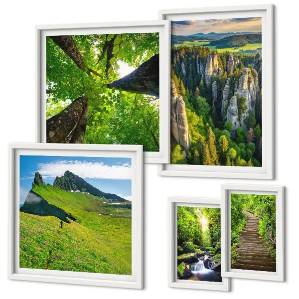 Framed photo set featuring green nature paths and landscapes
