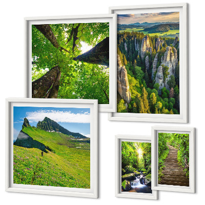 Framed photo set Green landscapes nature paths