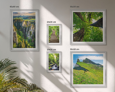Framed photo set Green landscapes nature paths