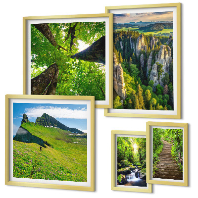 Framed photo set Green landscapes nature paths