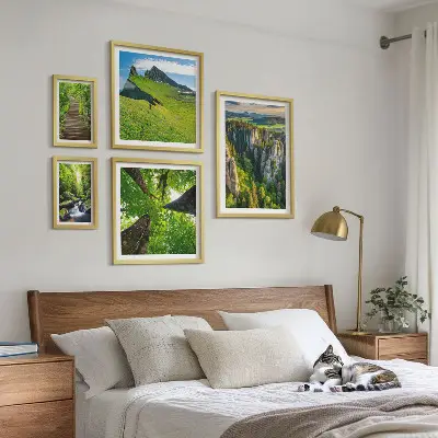 Framed photo set featuring green nature paths and landscapes