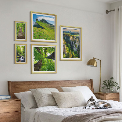 Framed photo set Green landscapes nature paths