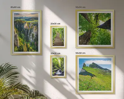 Framed photo set featuring green nature paths and landscapes