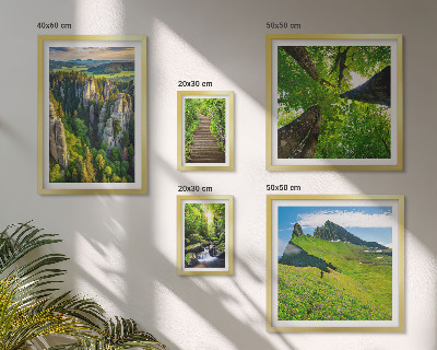 Framed photo set Green landscapes nature paths