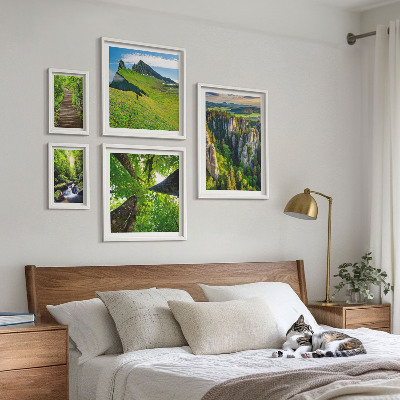 Framed photo set Green landscapes nature paths