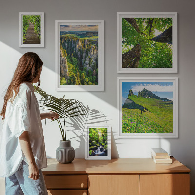 Framed photo set Green landscapes nature paths