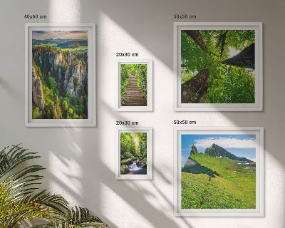 Framed photo set Green landscapes nature paths