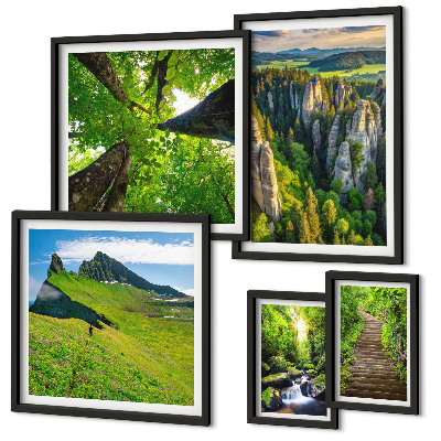 Framed photo set Green landscapes nature paths