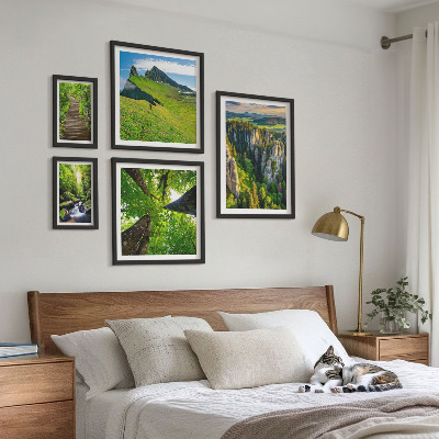 Framed photo set Green landscapes nature paths