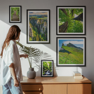 Framed photo set Green landscapes nature paths