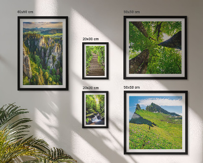 Framed photo set Green landscapes nature paths