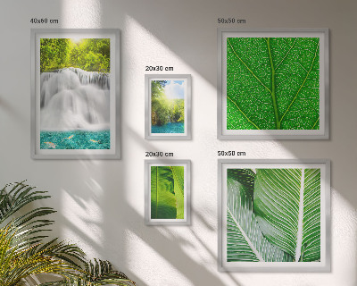 Set of 5 wall art pieces Tropical Palm Waterfalls