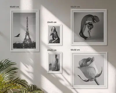 Gallery wall stylish black and white Paris photography