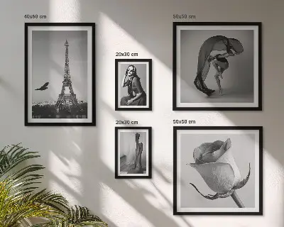 Gallery wall stylish black and white Paris photography