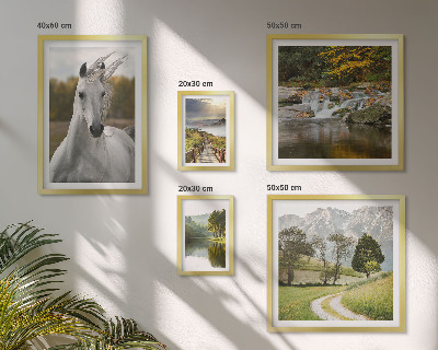 Framed photo set Landscapes Landscapes Horse