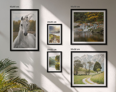 Framed photo set Landscapes Landscapes Horse