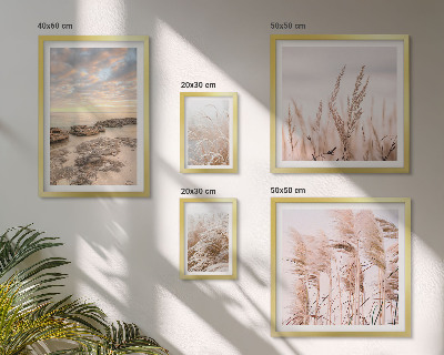 Gallery wall Seaside landscapes, sun