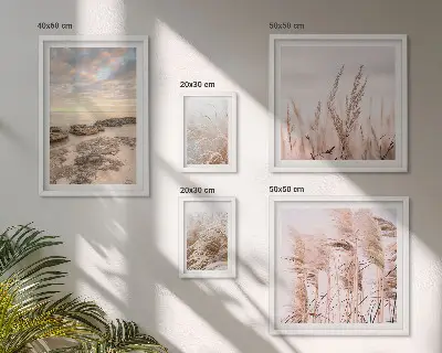 Gallery wall seaside landscapes featuring sun
