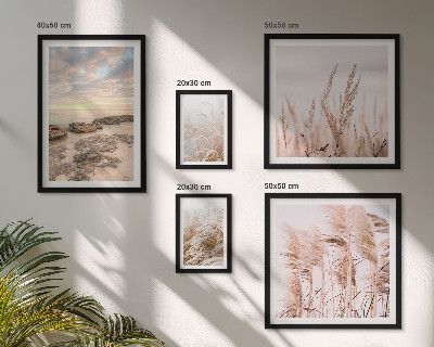 Gallery wall Seaside landscapes, sun