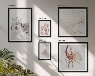 Framed photo set stylish architecture and nature views
