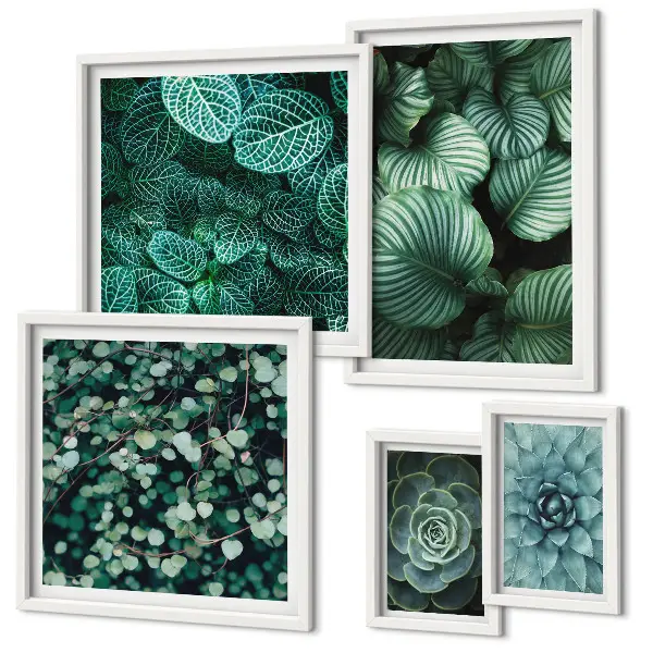 Gallery wall art plant leaves and succulents nature theme