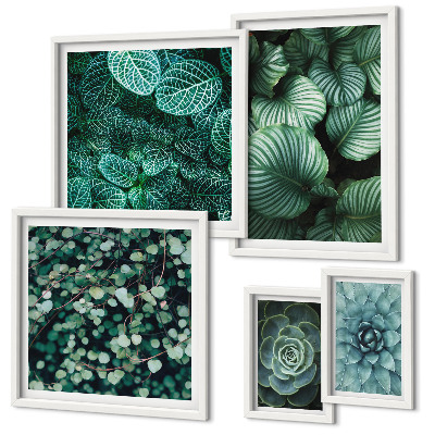 Gallery wall Plant leaves succulents nature