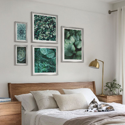 Gallery wall Plant leaves succulents nature
